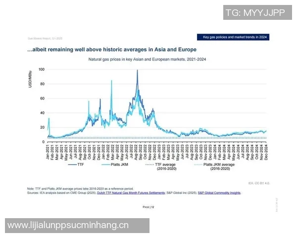 数据分析：液化天然气运输速度的全面评估与趋势研究